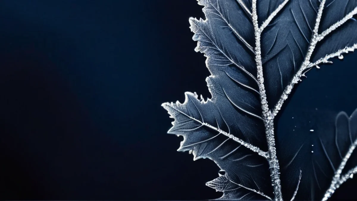 Frost crystals tracing the veins of a leaf shape against dark blue.
